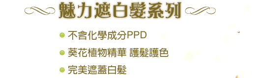 魅力遮白髮系列
